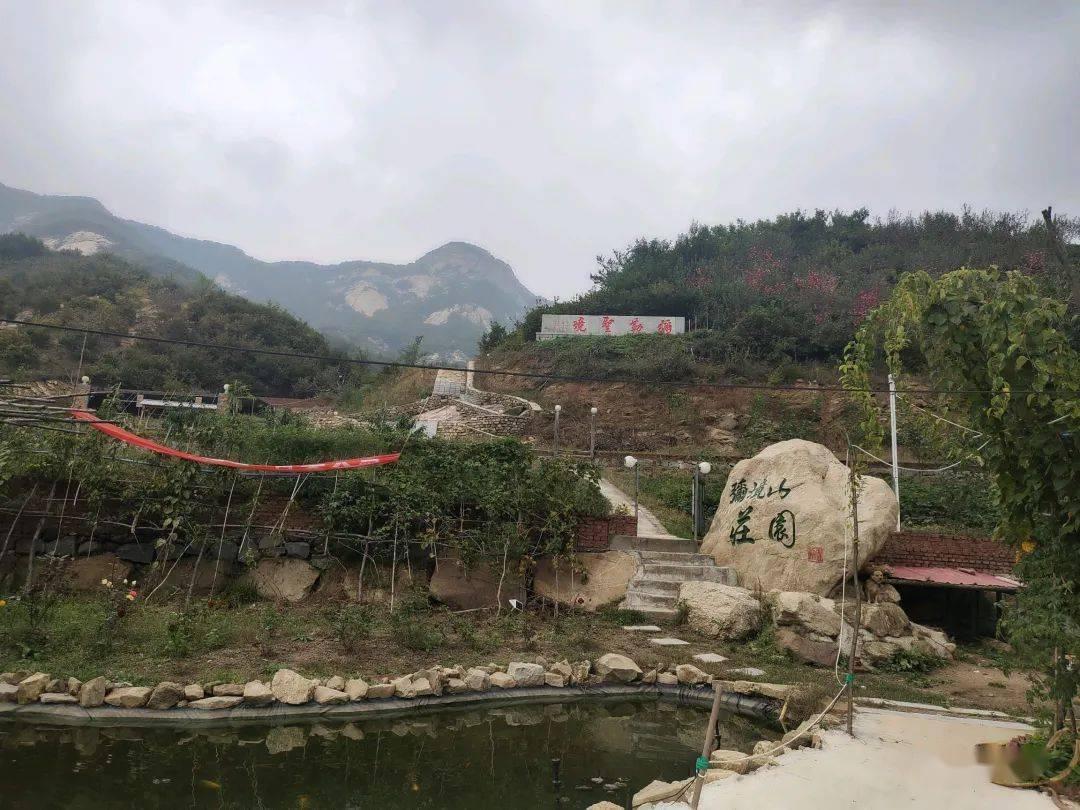 疫情快递不派件也不返回导致损失谁承担？游戏画面